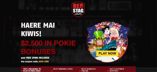 Red Stag Casino Website